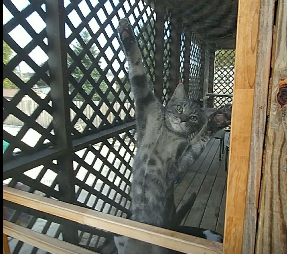 22448663_1713693551998266_4550124751462731526_n